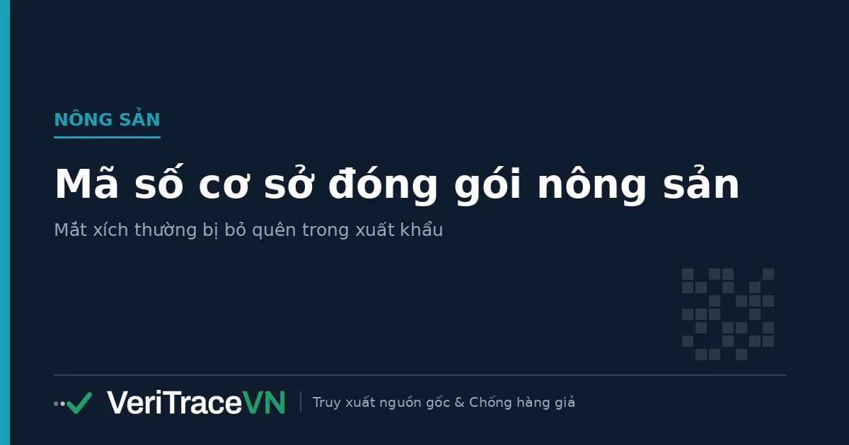 Cơ sở đóng gói nông sản xuất khẩu với khay phân loại và thùng carton chờ dán mã số