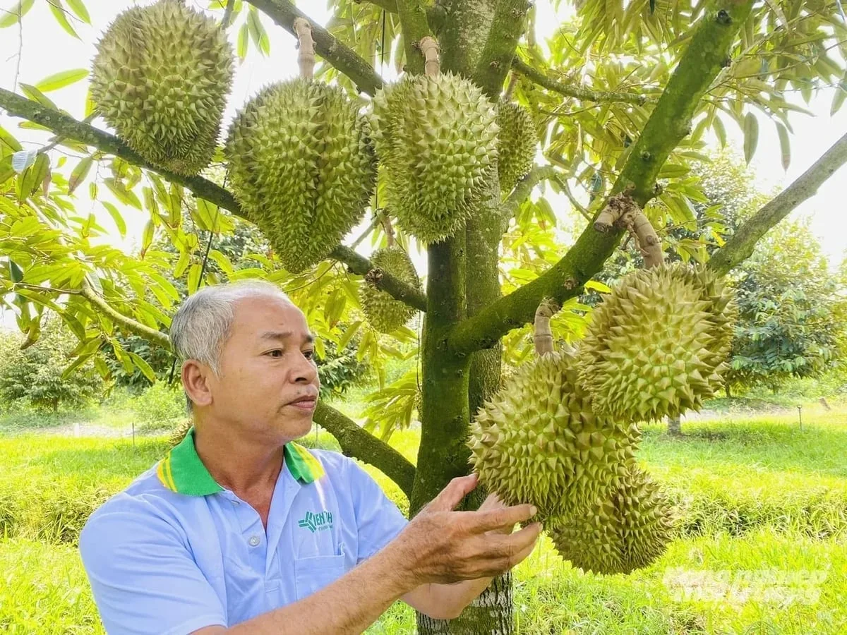 Sản xuất nông sản gắn với truy xuất nguồn gốc